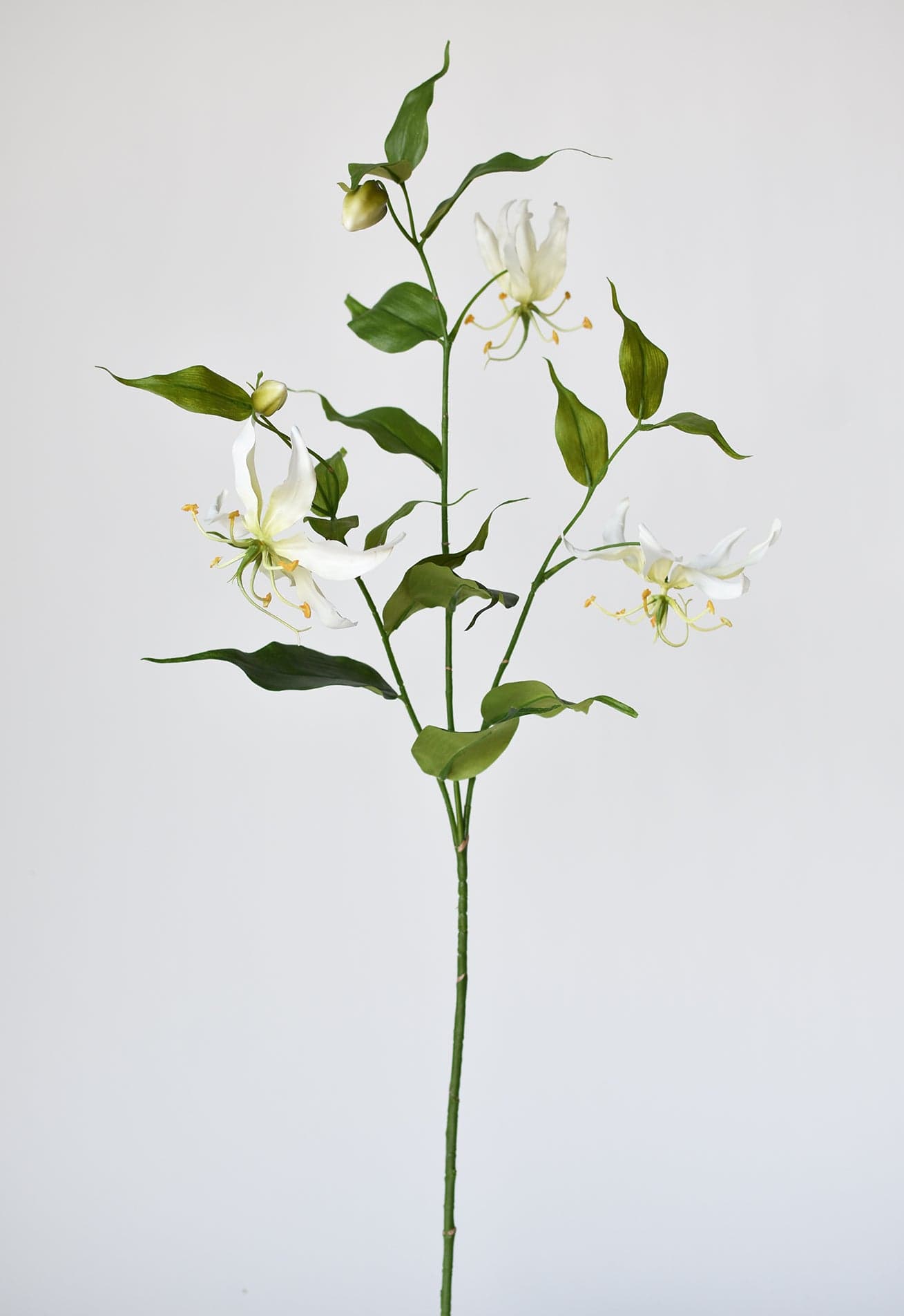 Gloriosa Lily Stem, 34", Cream