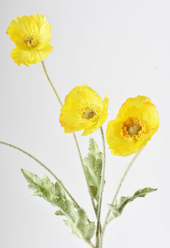 Poppy Stem, 24", Yellow