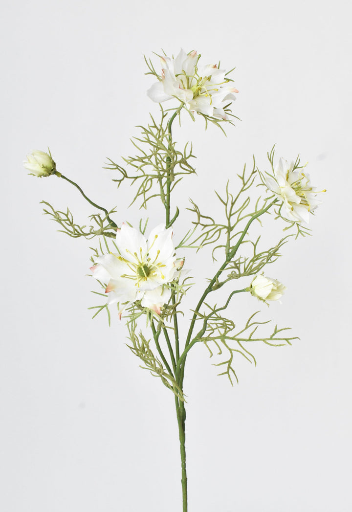 Nigella Stem, 29", White