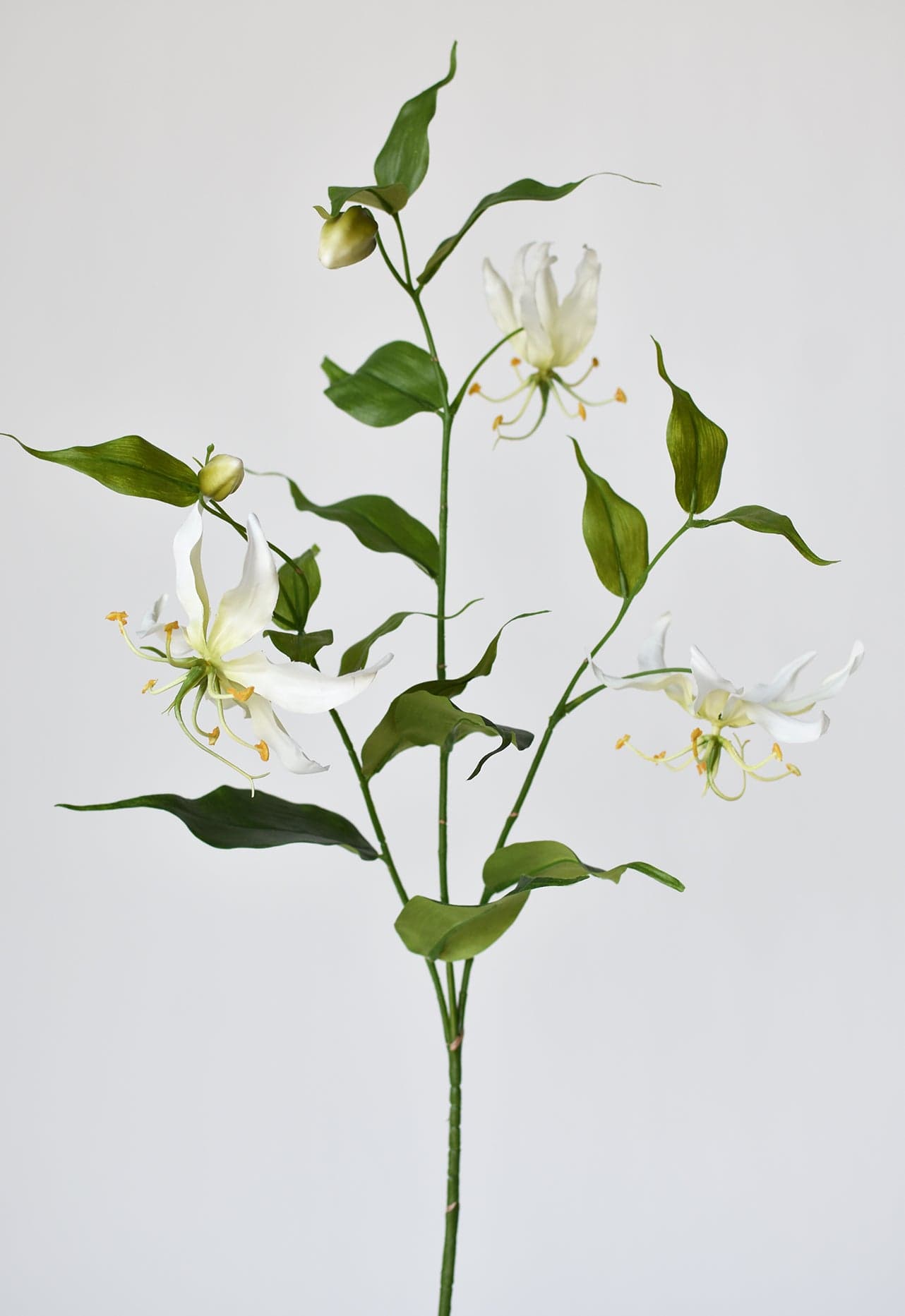 Gloriosa Lily Stem, 34", Cream