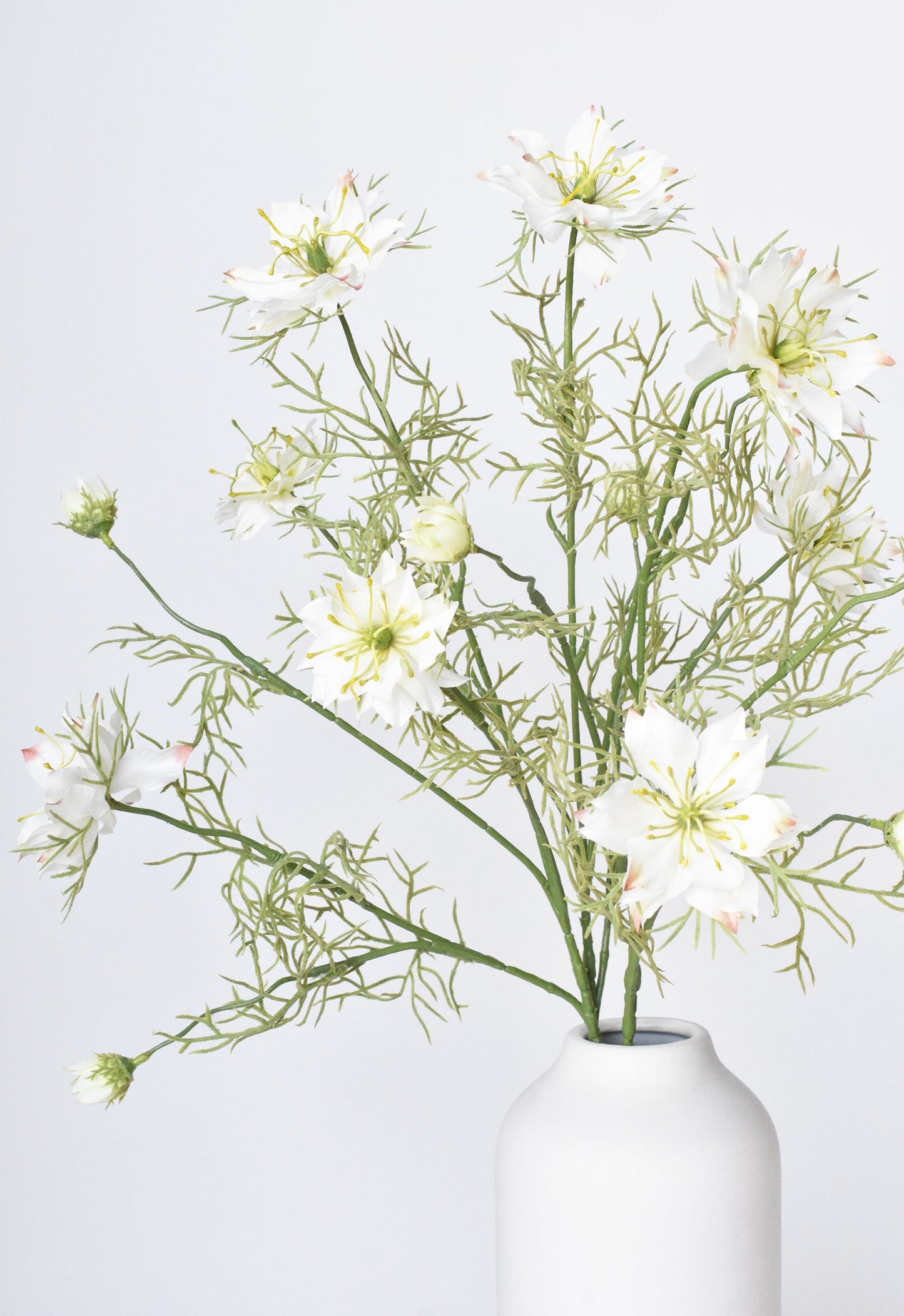 Nigella Stem, 29", White