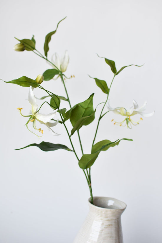 Gloriosa Lily Stem, 34", Cream