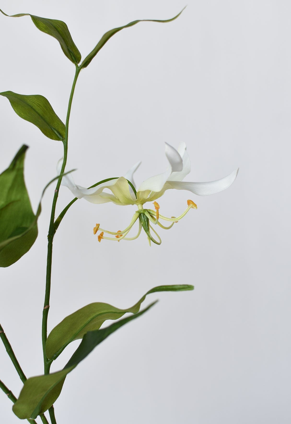 Gloriosa Lily Stem, 34", Cream