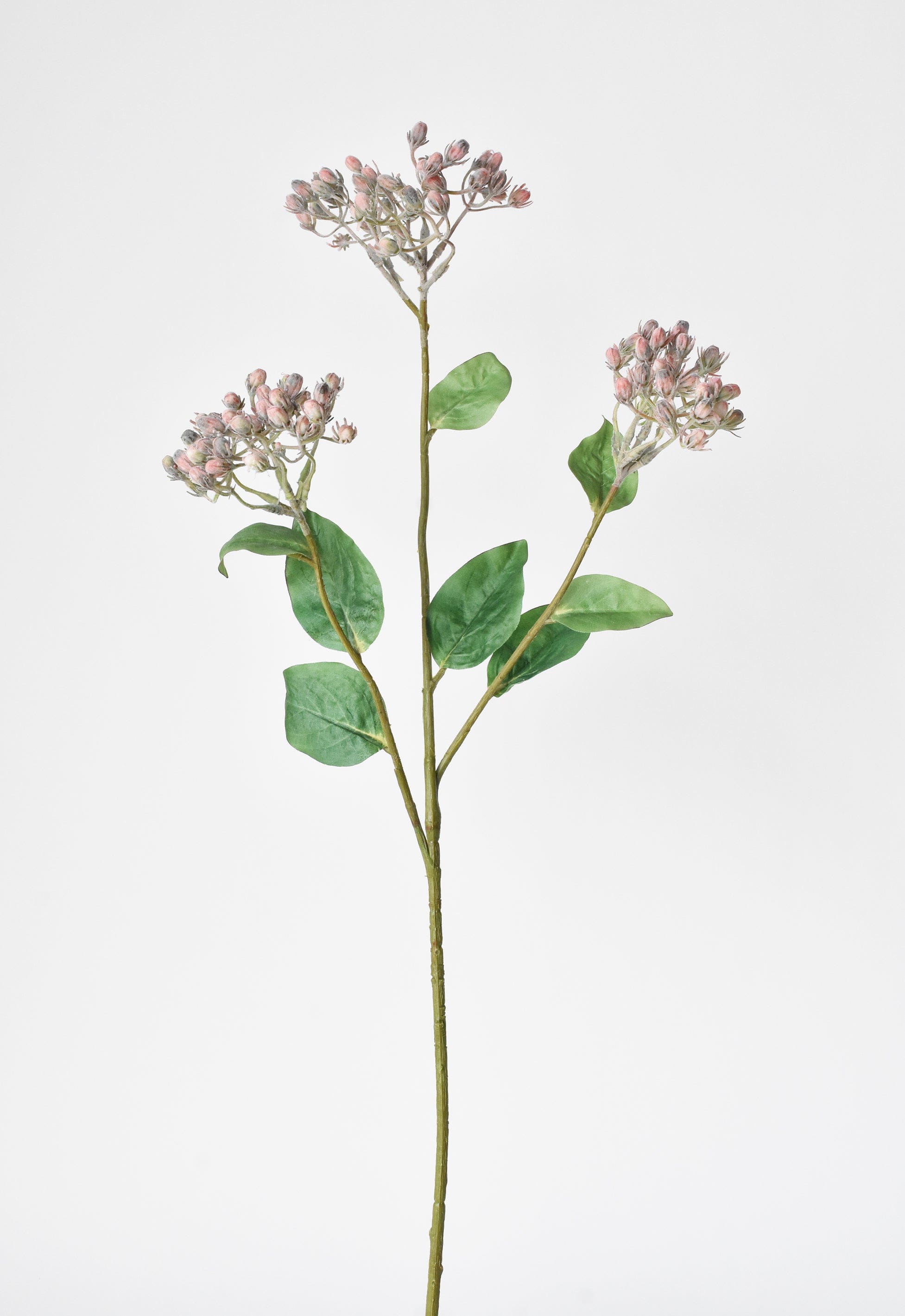 Wild Sedum Berry Stem, 31", Pink