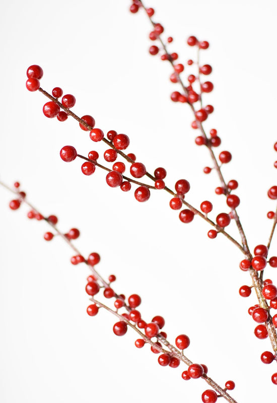 Outdoor Berry Stem, Red