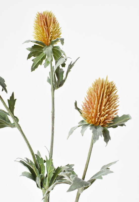 Thistle Spray Stem, 31", Mauve & Yellow