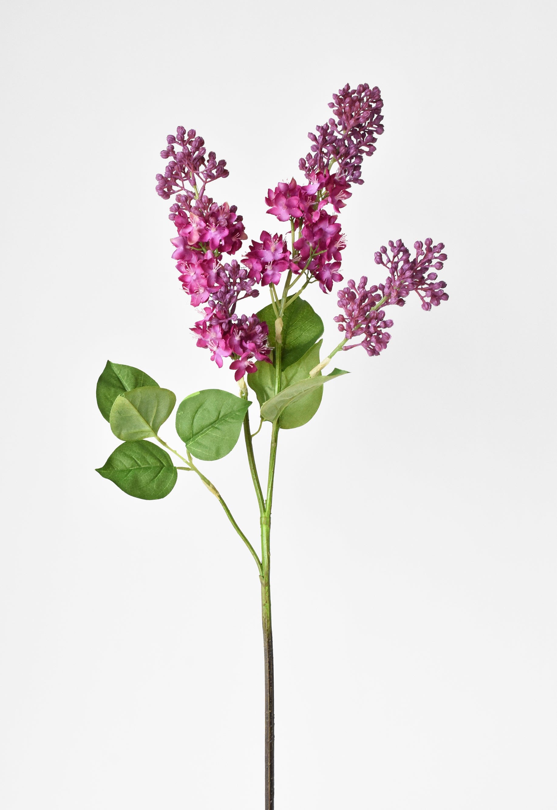 Lilac Stem, 34.5", Vibrant Pink & Purple