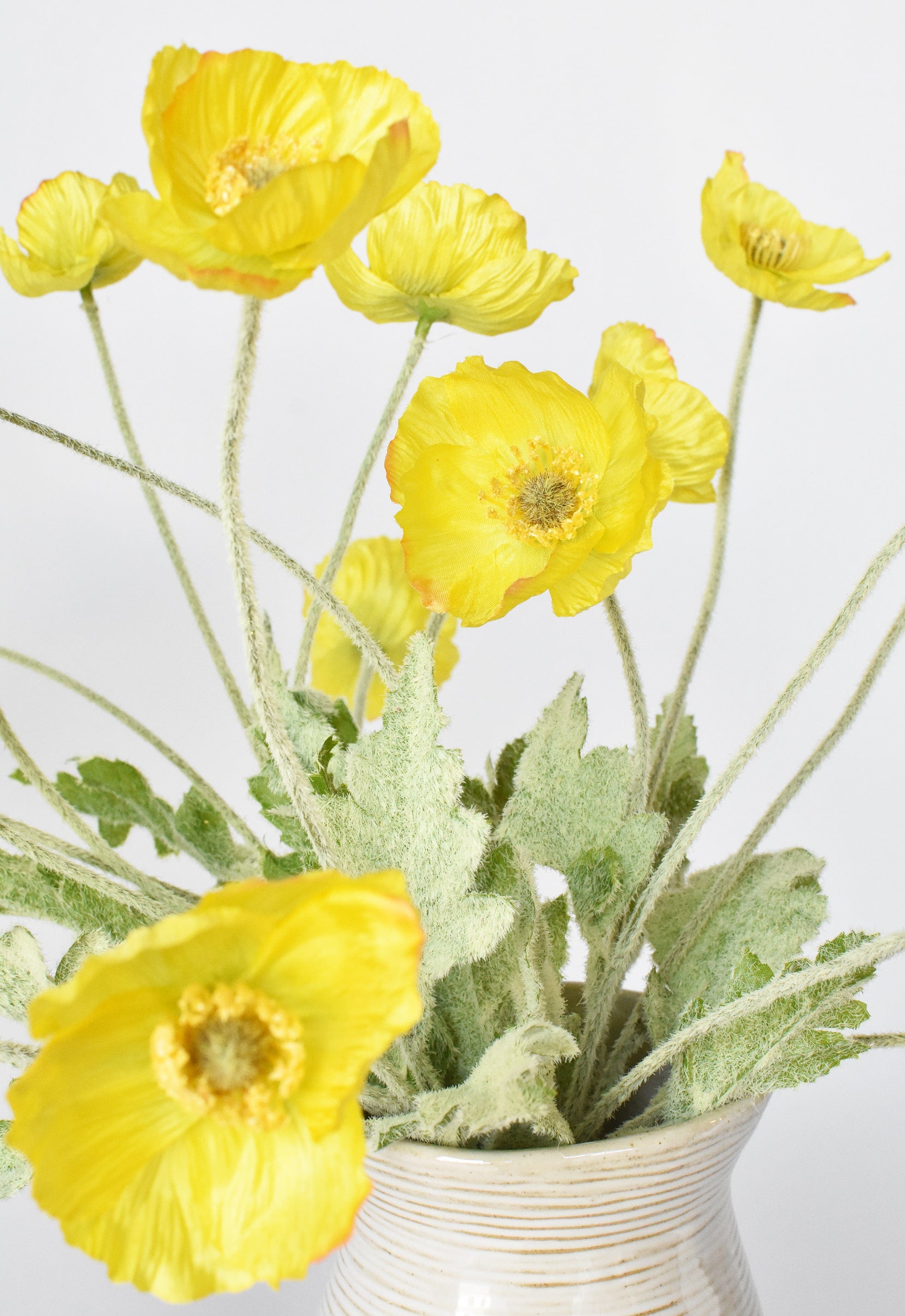 Poppy Stem, 24", Yellow