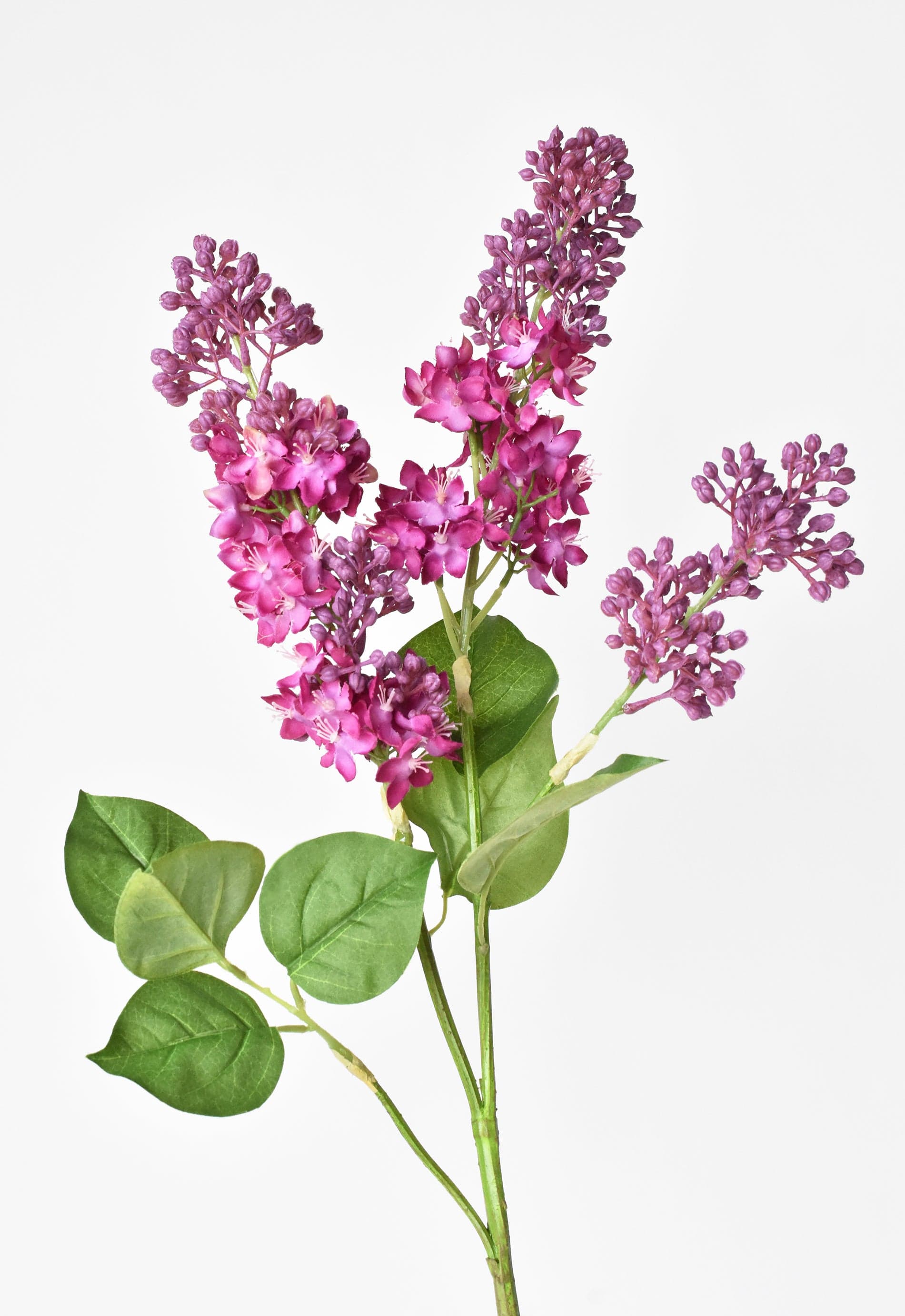 Lilac Stem, 34.5", Vibrant Pink & Purple