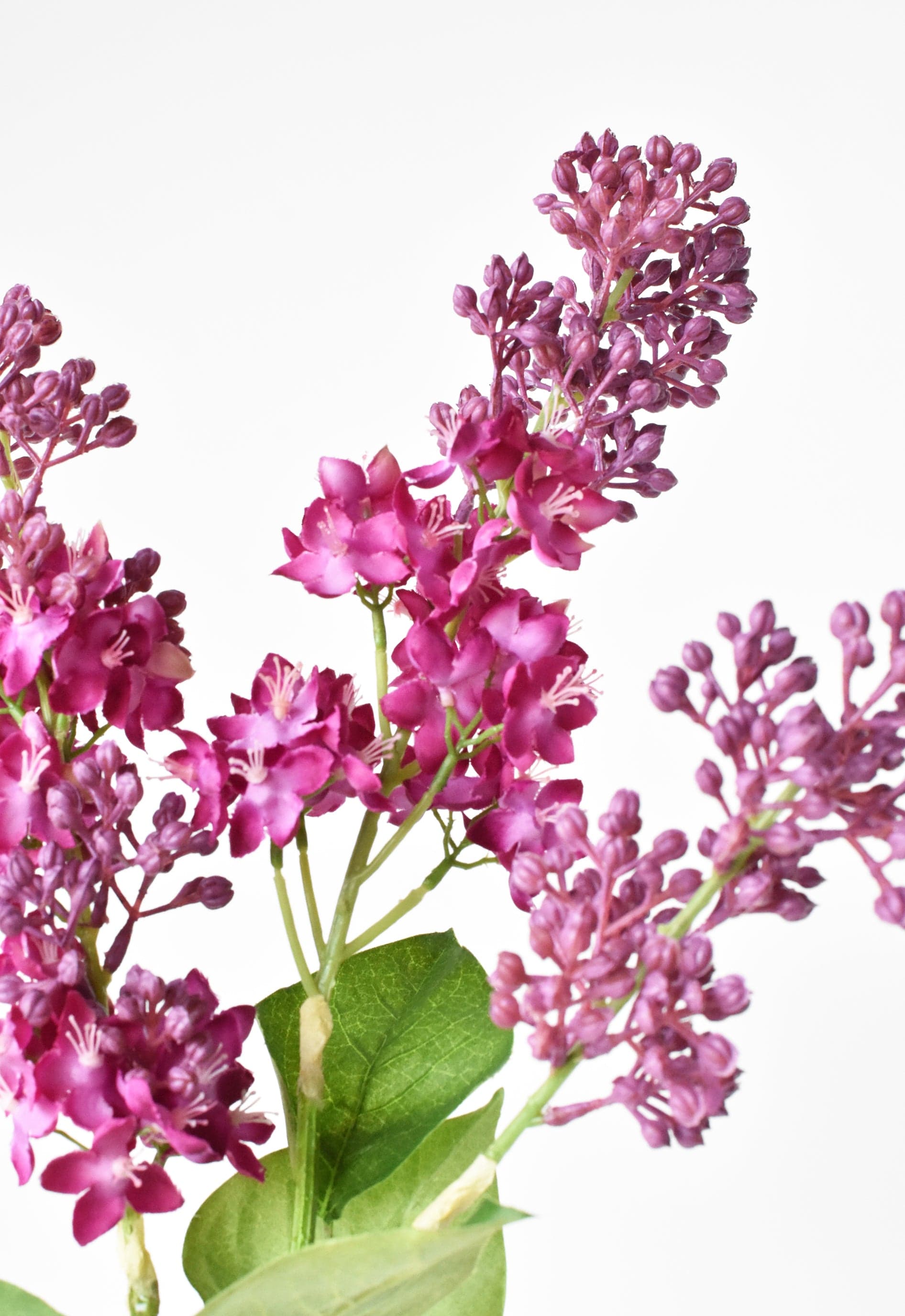 Lilac Stem, 34.5", Vibrant Pink & Purple