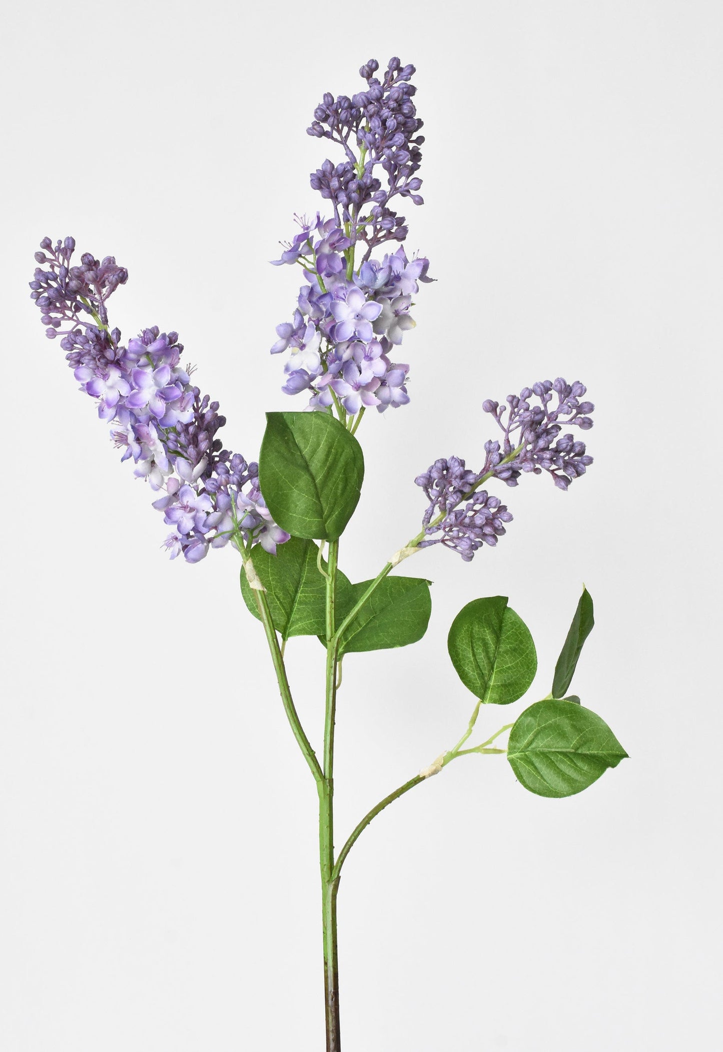 Lilac Stem, 34.5", Purple