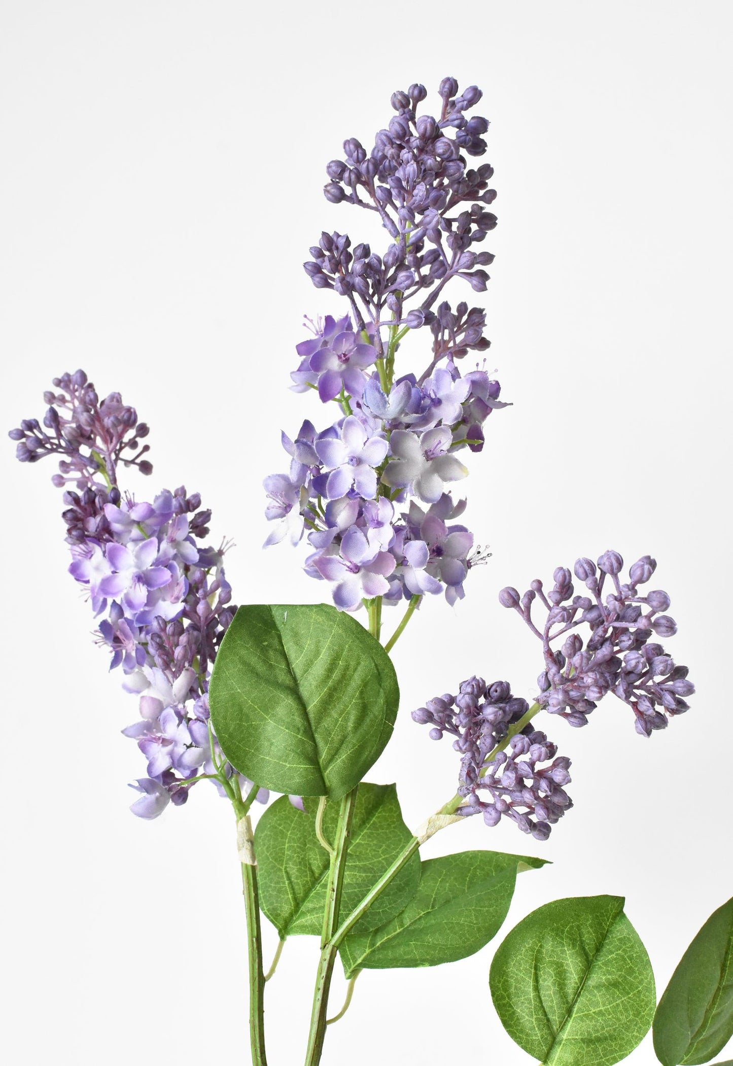 Lilac Stem, 34.5", Purple