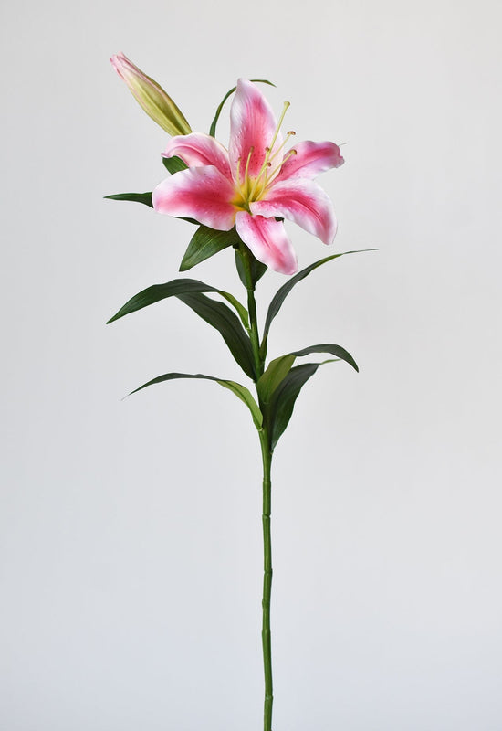 Lily Stem, 35", Pink & White