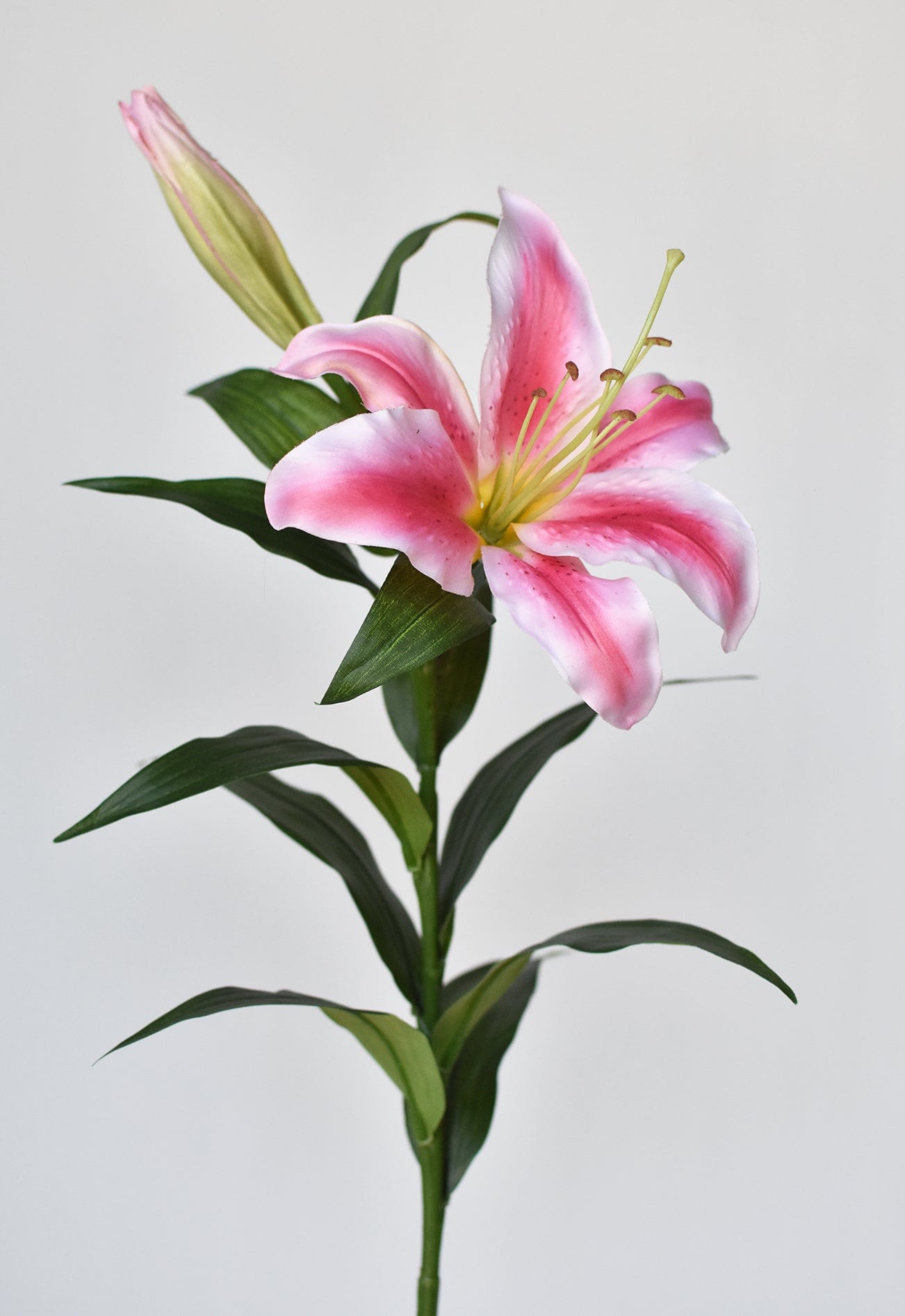 Lily Stem, 35", Pink & White