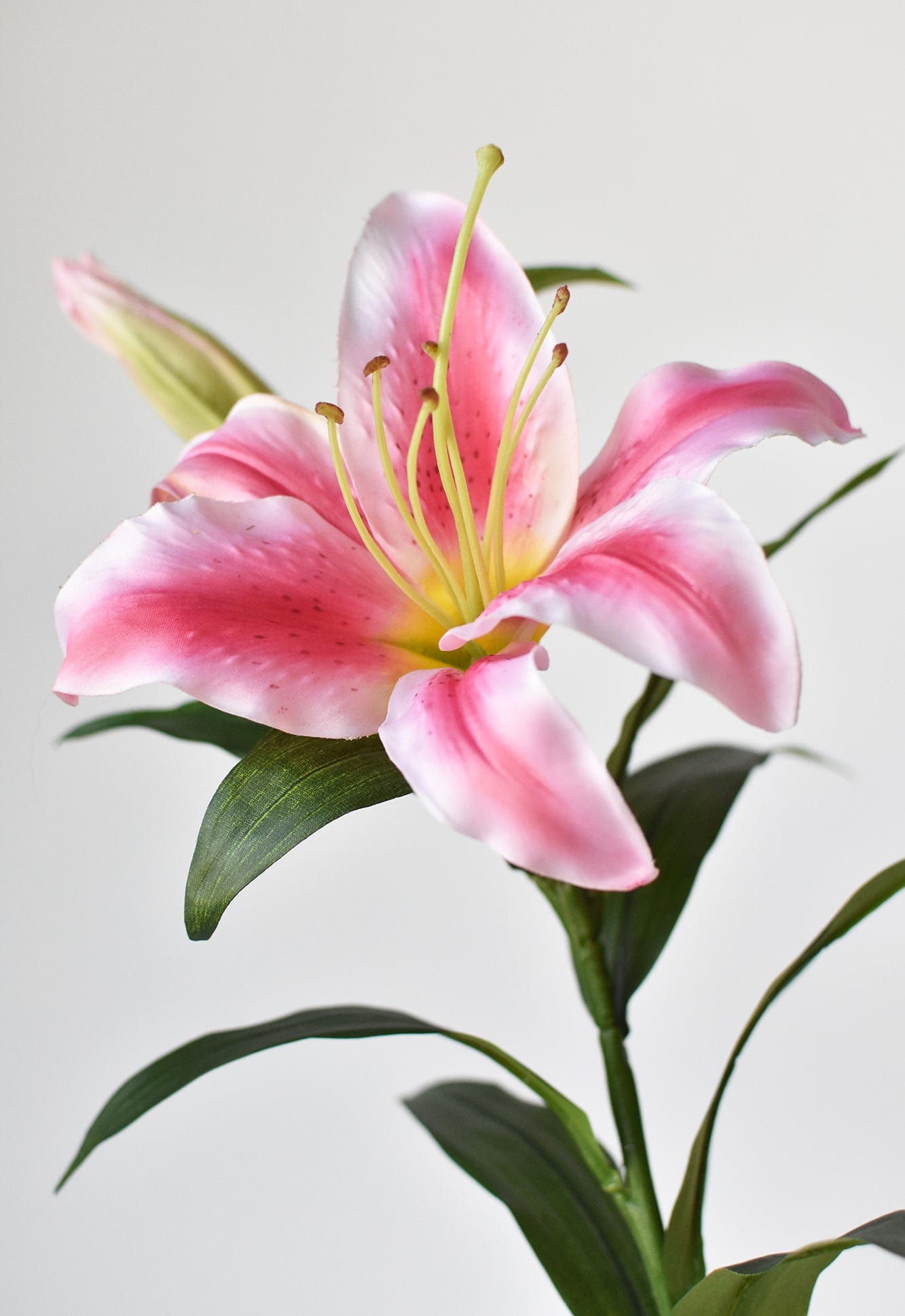 Lily Stem, 35", Pink & White