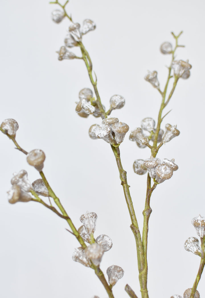 Frosted Eucalyptus Pod Stem, 35"