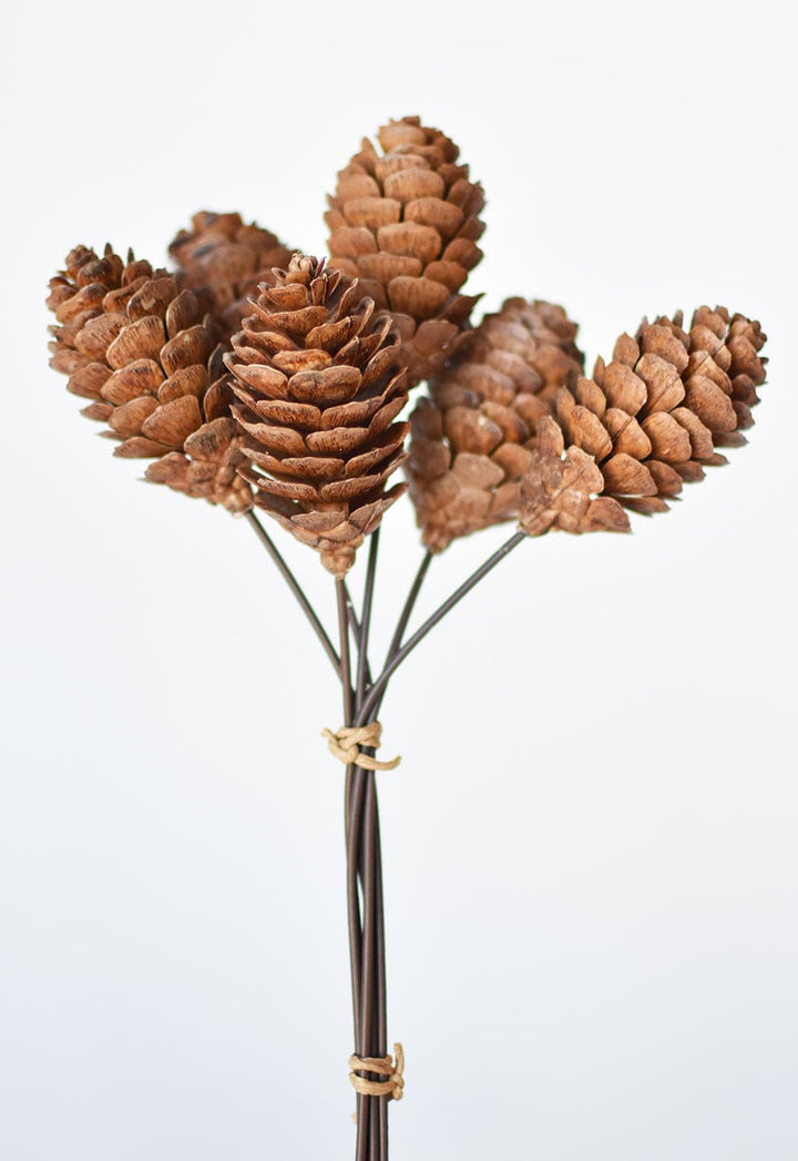 Pinecone Stem Bundle, 10"