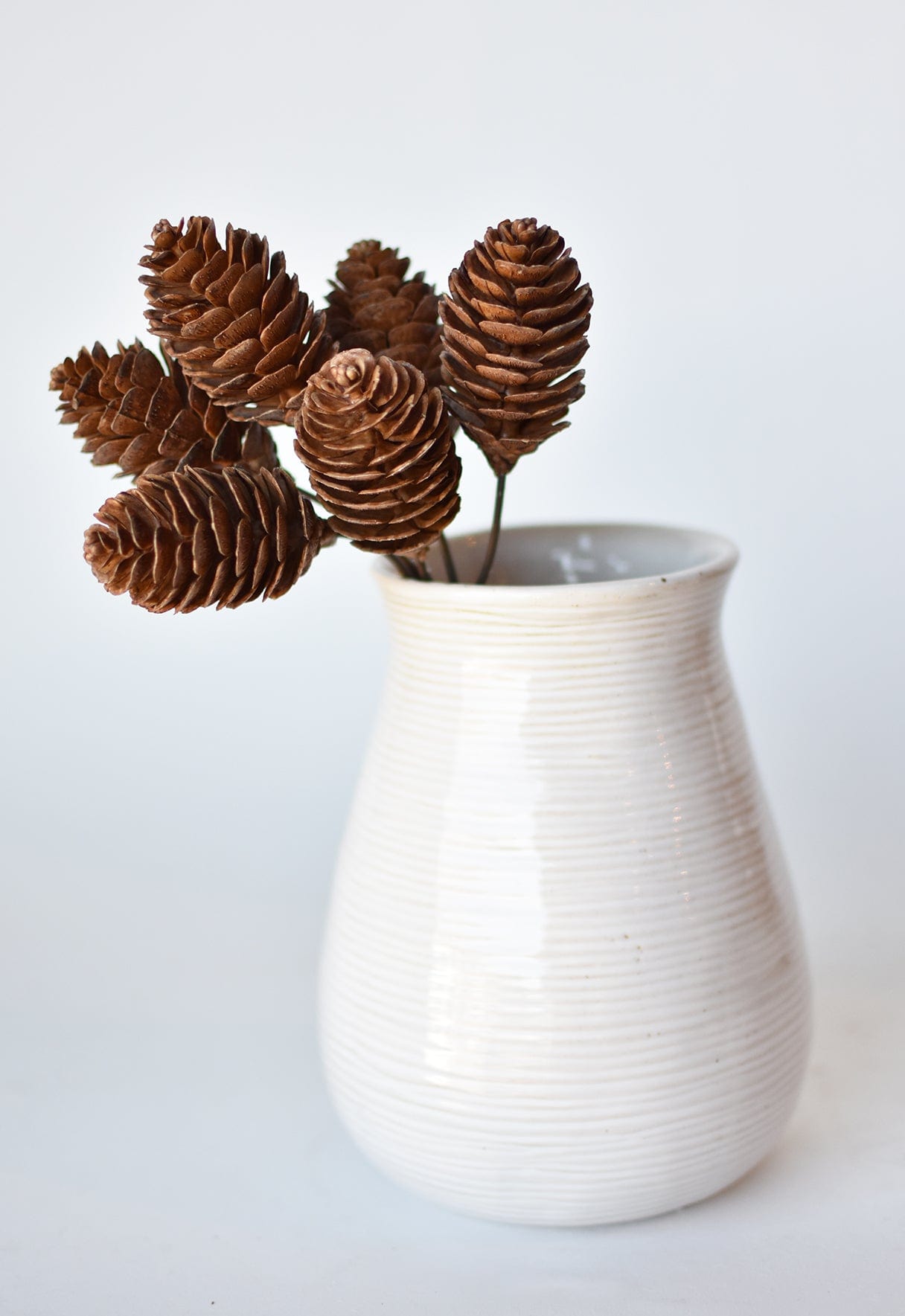 Pinecone Stem Bundle, 10"