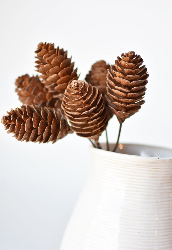 Pinecone Stem Bundle, 10"