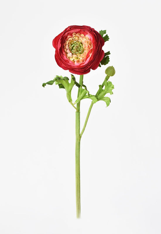 Ranunculus Stem, 13", Red