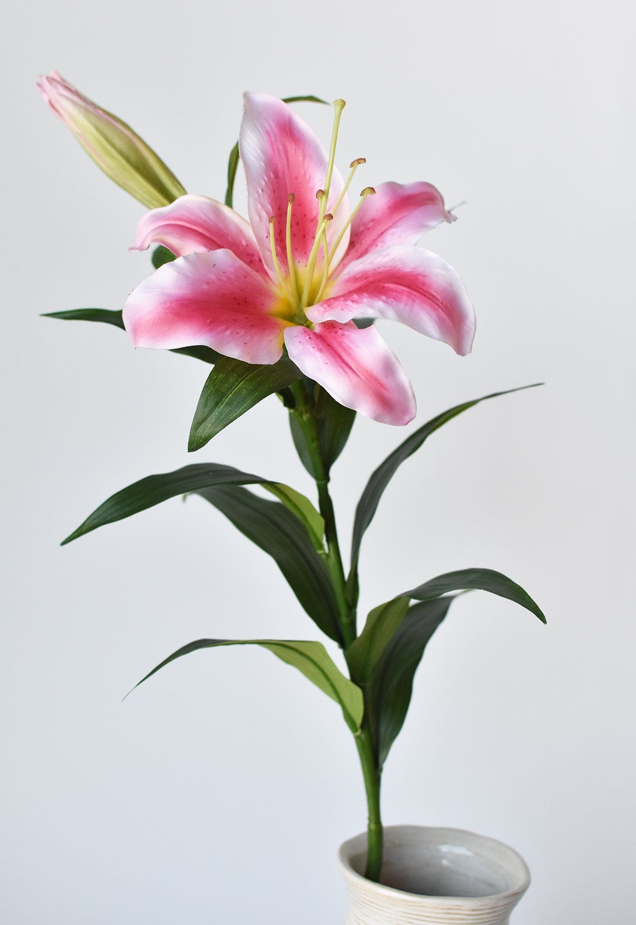 Lily Stem, 35", Pink & White