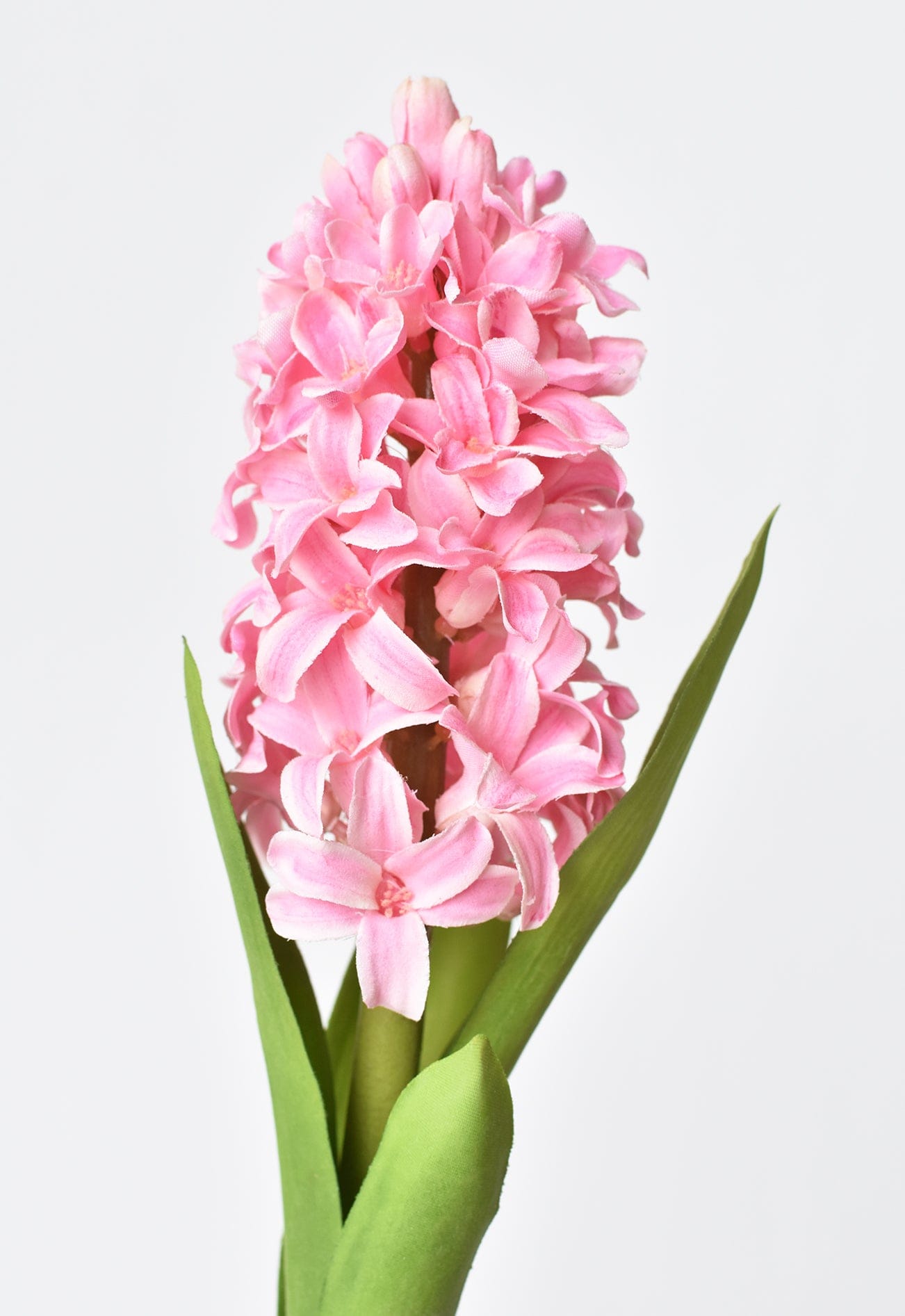 Hyacinth Stem, 12.5", Pink