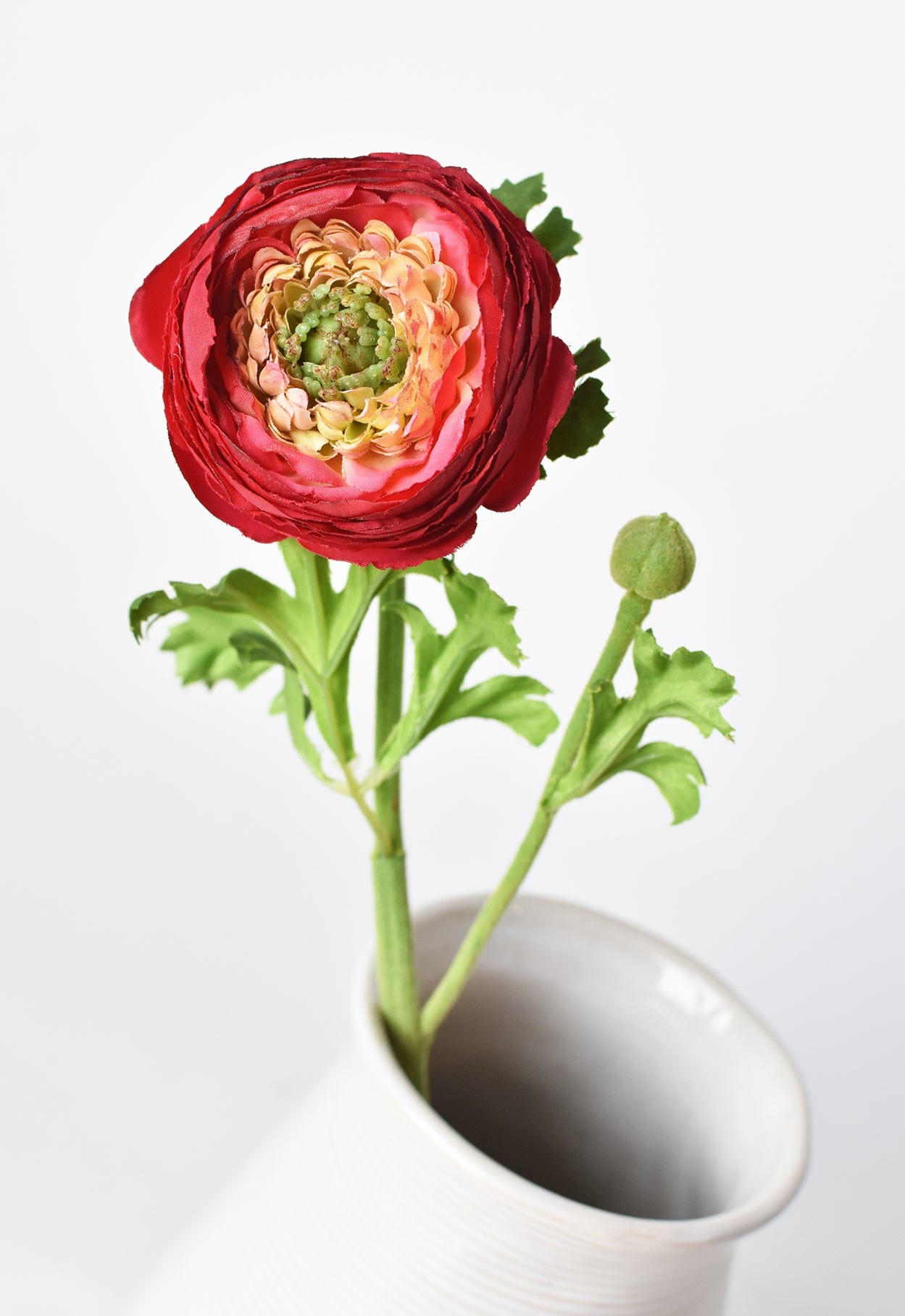 Ranunculus Stem, 13", Red