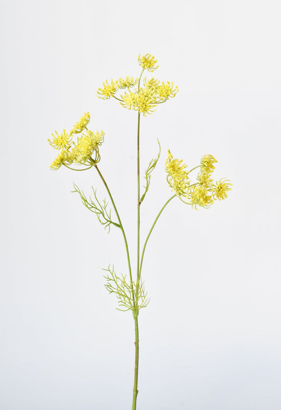 Queen Anne's Lace Stem, 20.5", Yellow