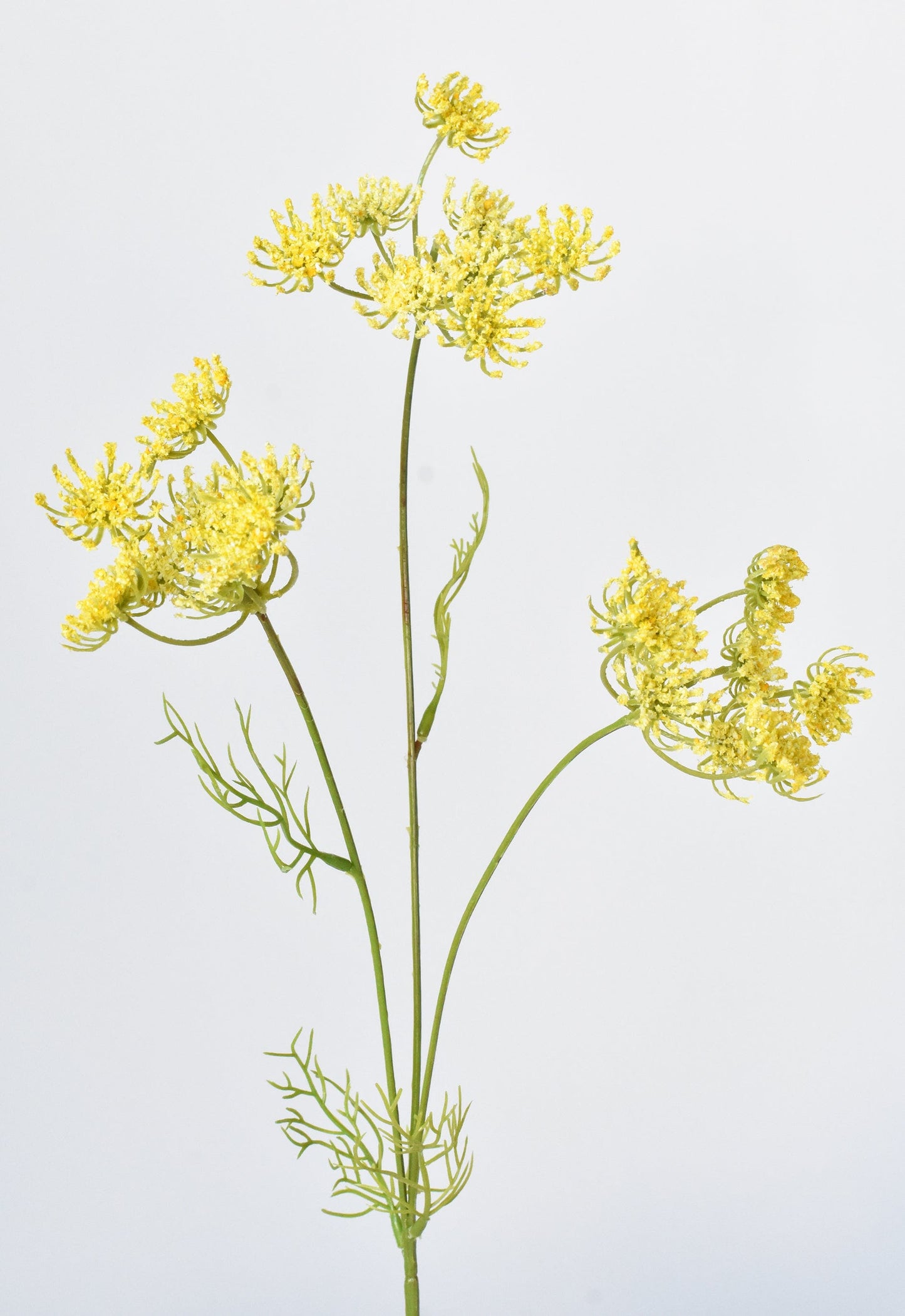 Queen Anne's Lace Stem, 20.5", Yellow