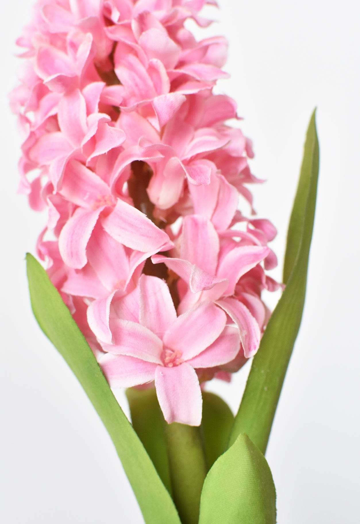 Hyacinth Stem, 12.5", Pink