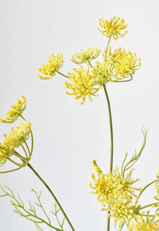 Queen Anne's Lace Stem, 20.5", Yellow