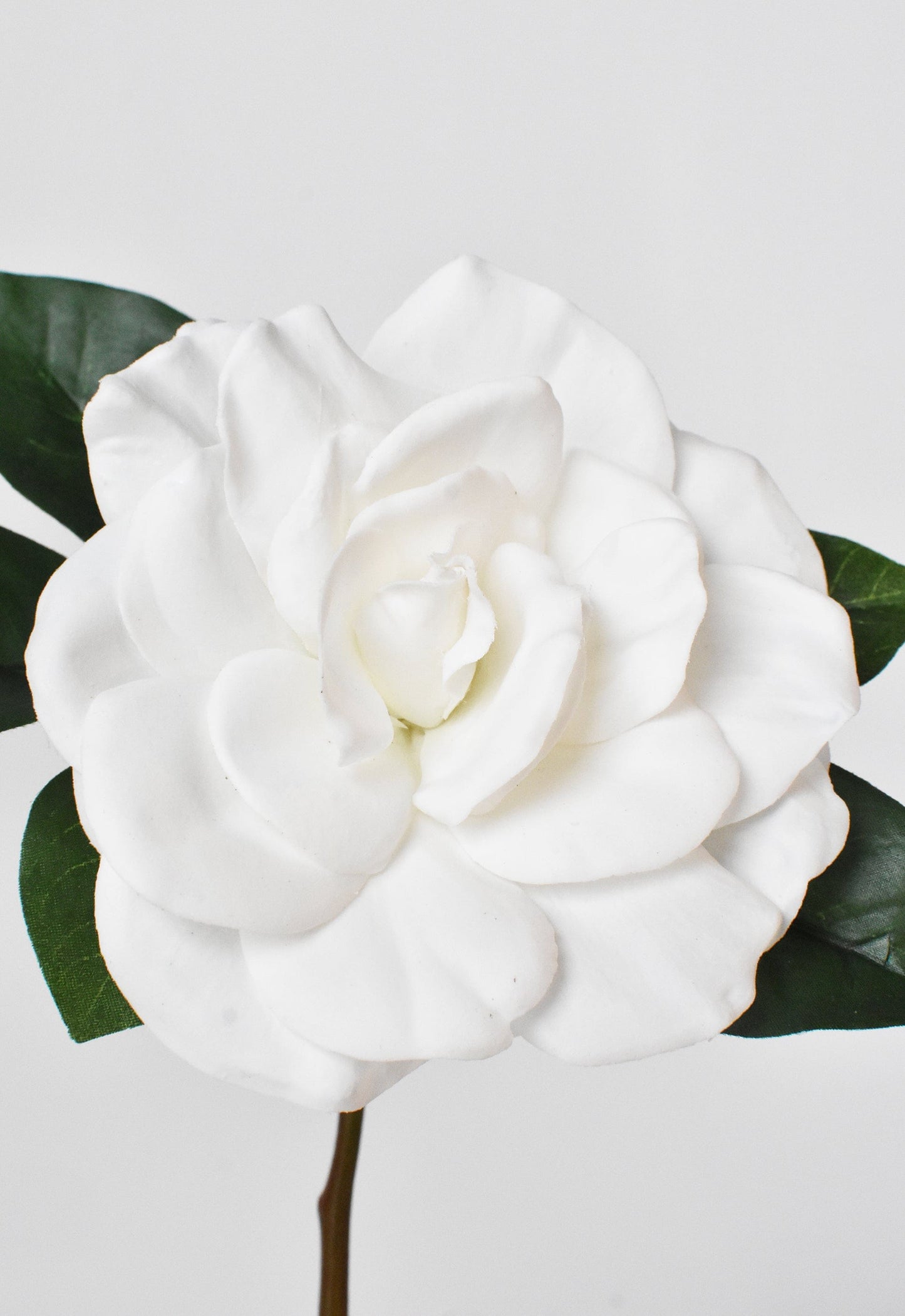 Gardenia Stem, 11", White, Real Touch