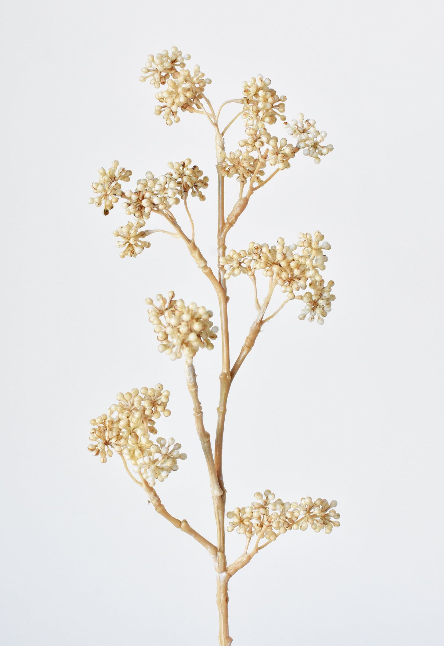 Sedum Berry Stem, 17", Cream, Real Touch