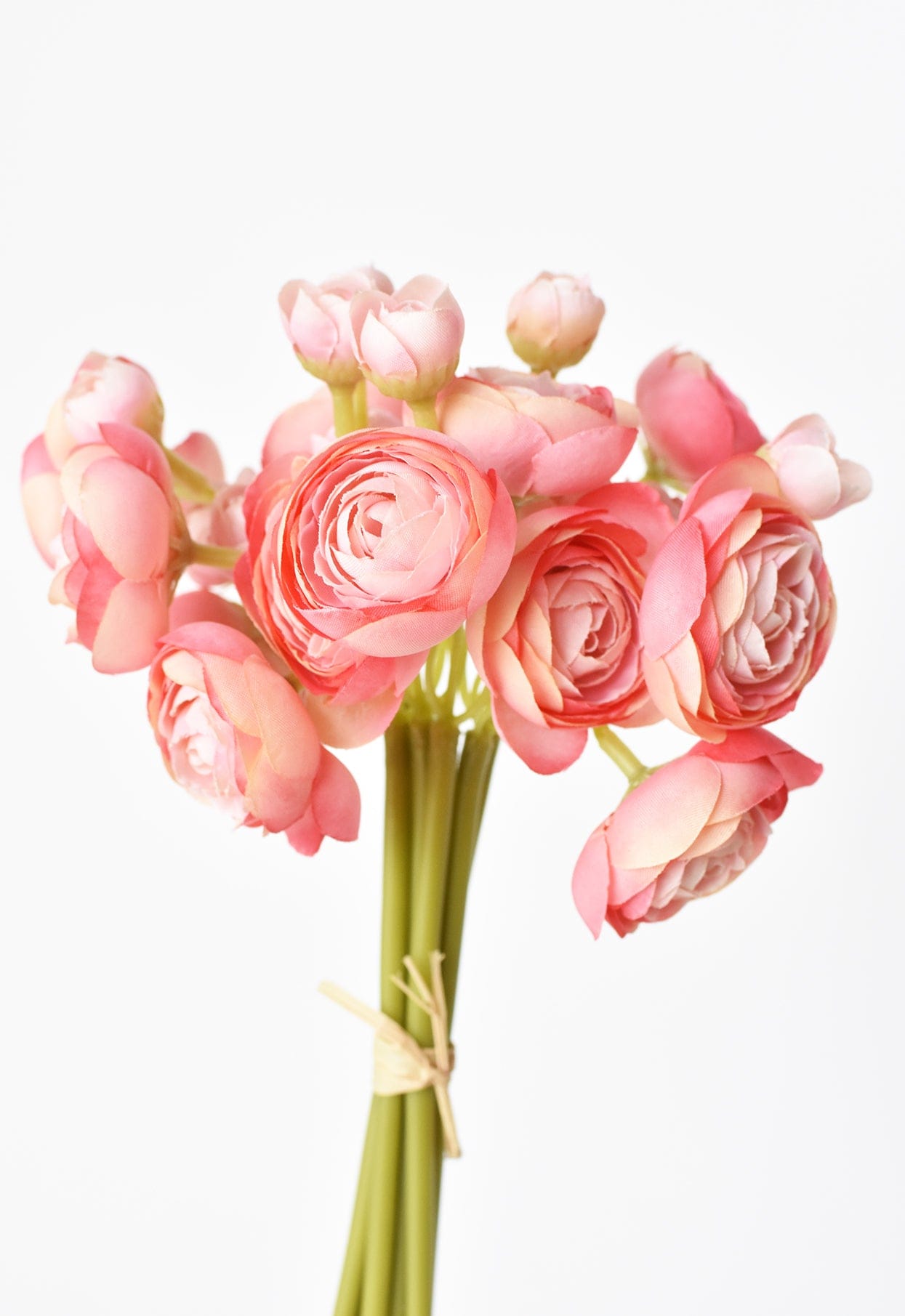 Ranunculus Stem Bundle, 10.5", Light Pink