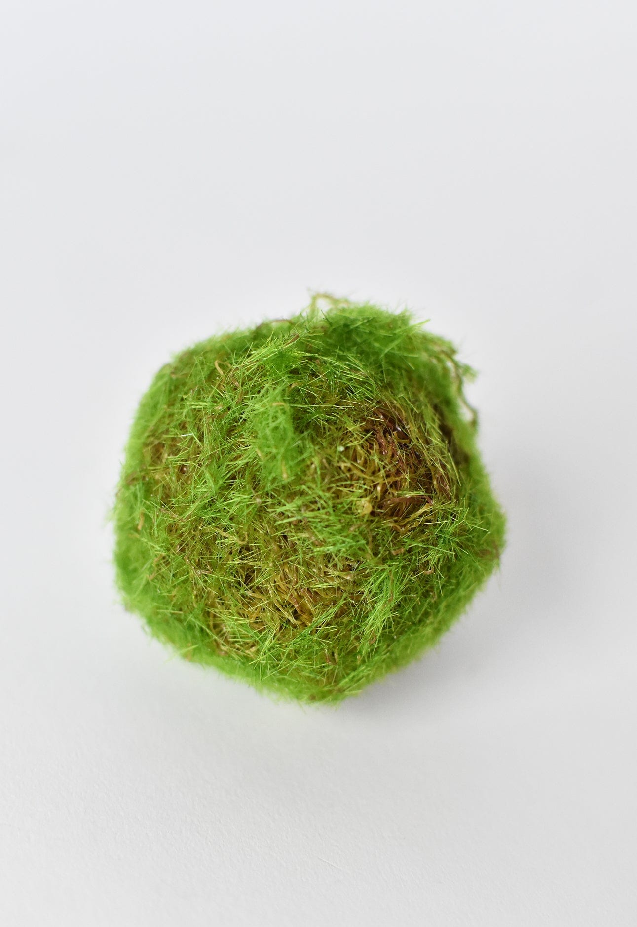 Mossy Orbs