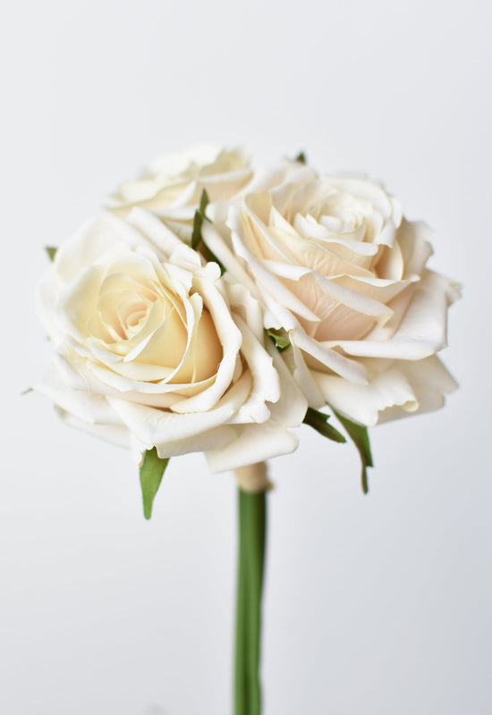 Rose Stem Bundle, 7.5", Cream