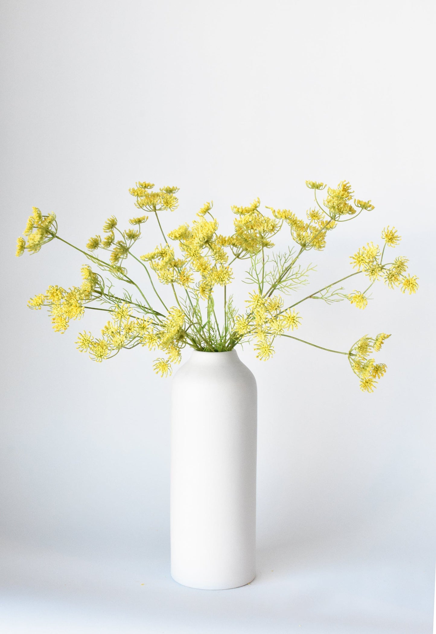 Queen Anne's Lace Stem, 20.5", Yellow