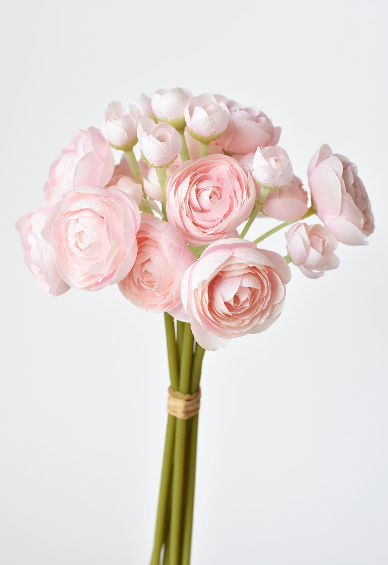 Ranunculus Stem Bundle, 10", Pale Pink