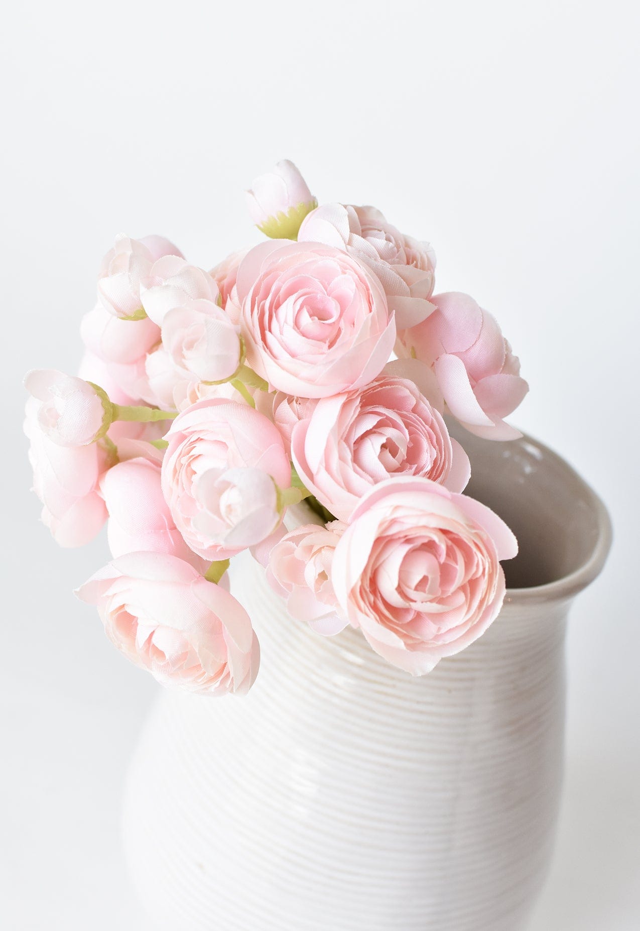 Ranunculus Stem Bundle, 10", Pale Pink