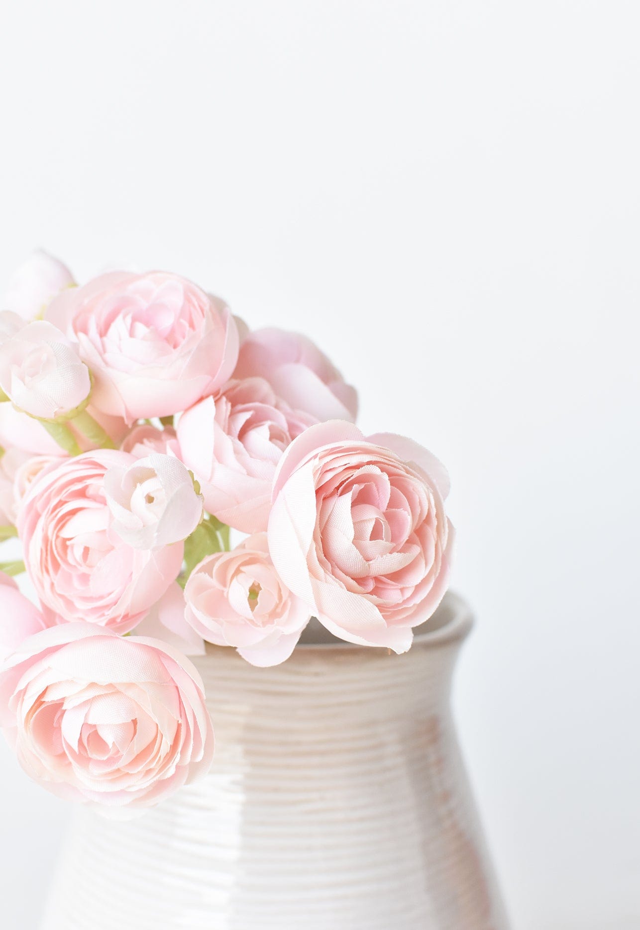 Ranunculus Stem Bundle, 10", Pale Pink