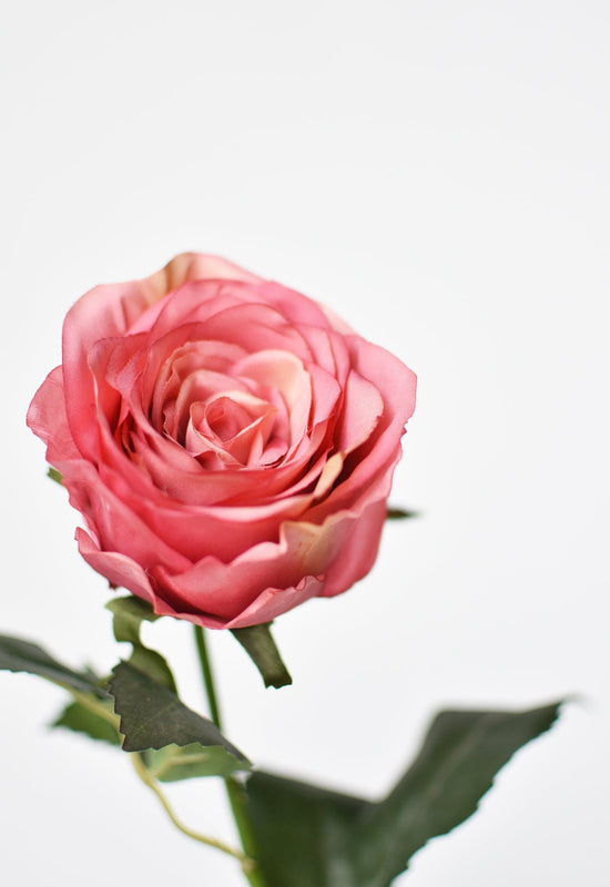 Large Rose Bud Stem, 22", Cerise & Pink