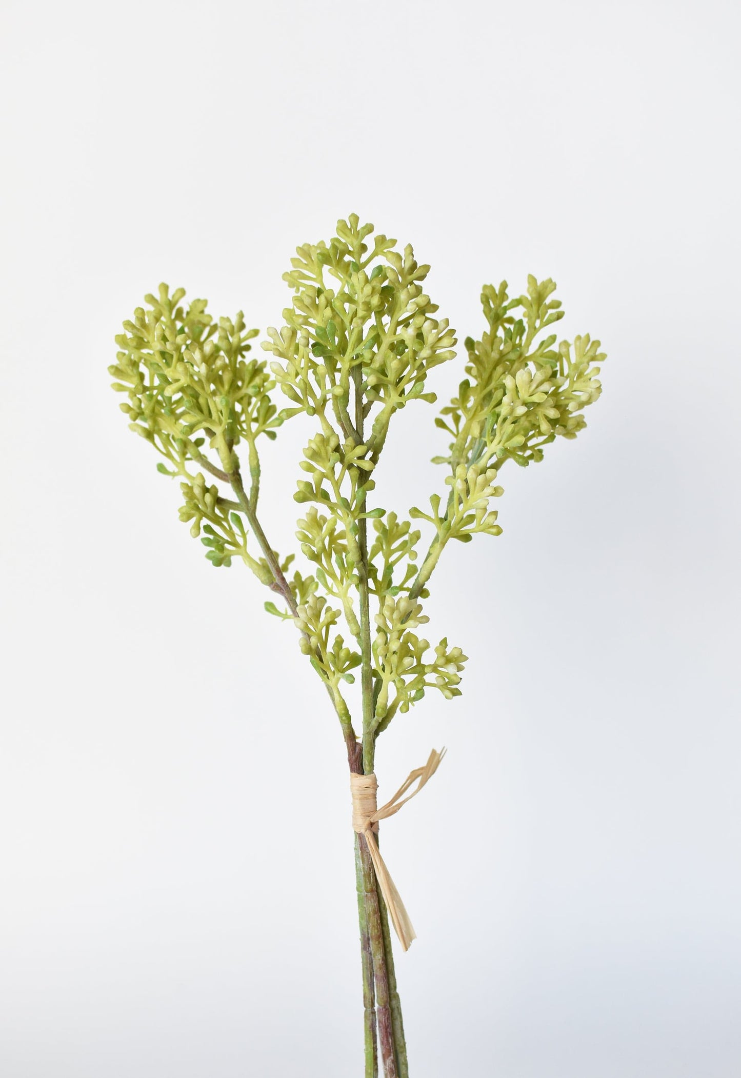 Sedum Berry Stem Bundle, 14", Green