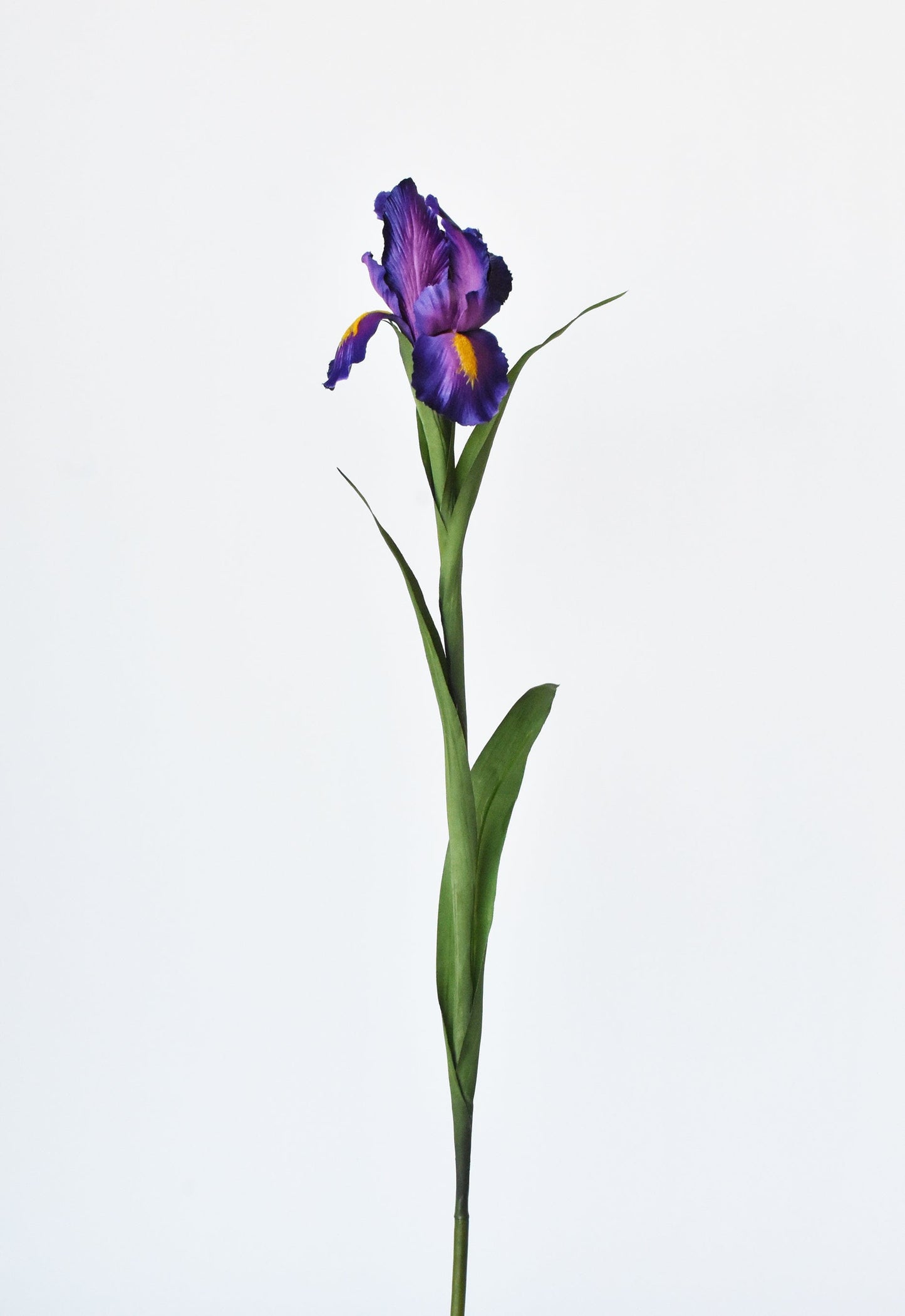 Purple Iris Stem, 28"