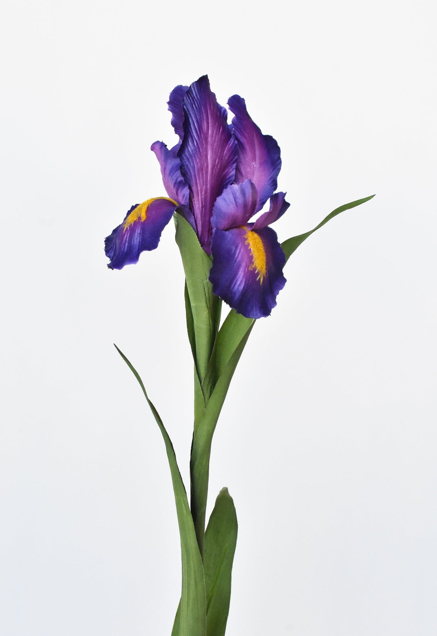 Purple Iris Stem, 28"