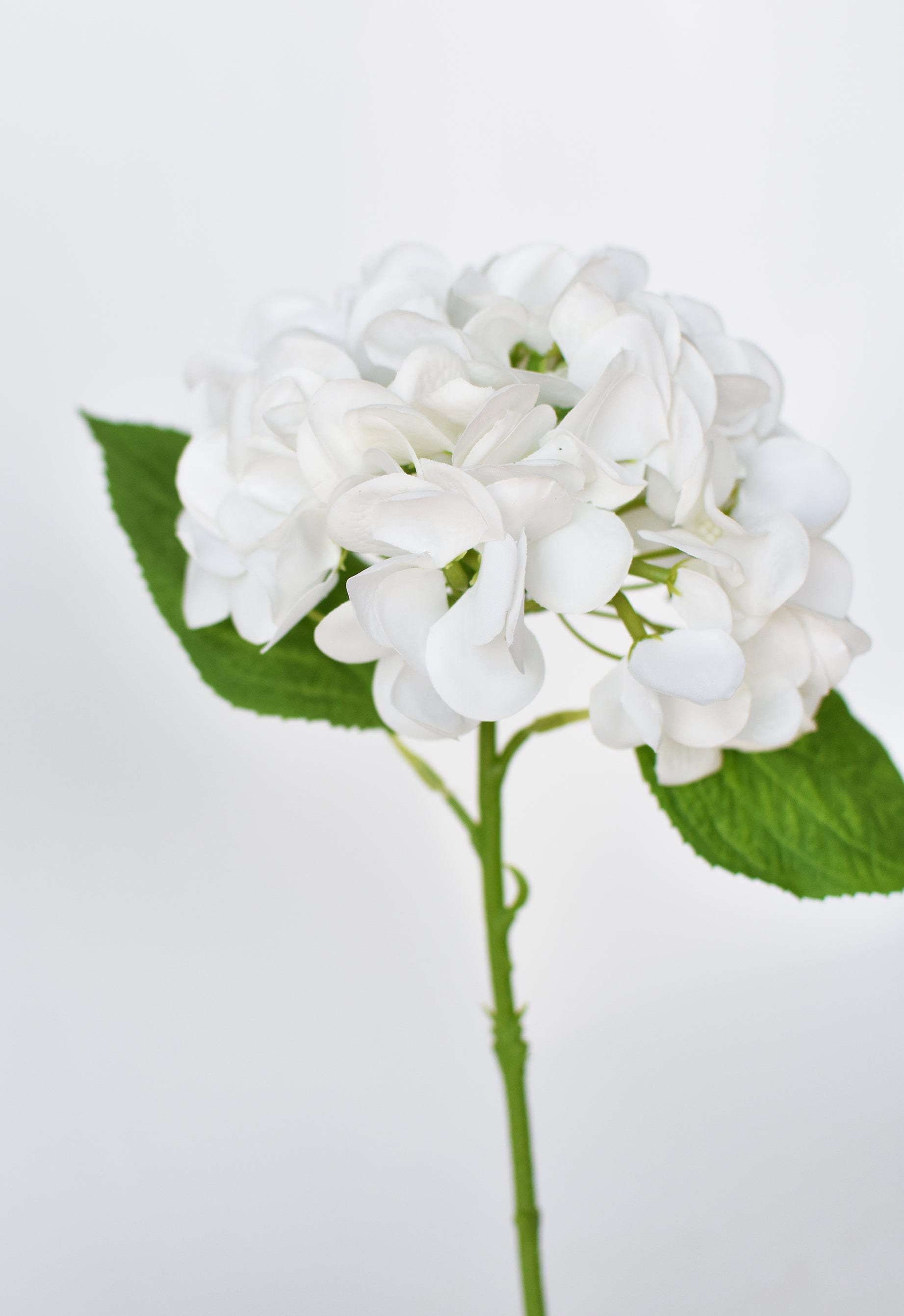 Hydrangea Stem, 13", White, Real Touch