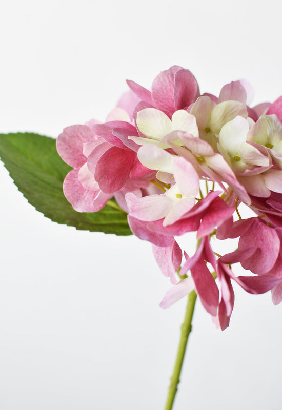 Hydrangea Stem, 10", Dark Pink