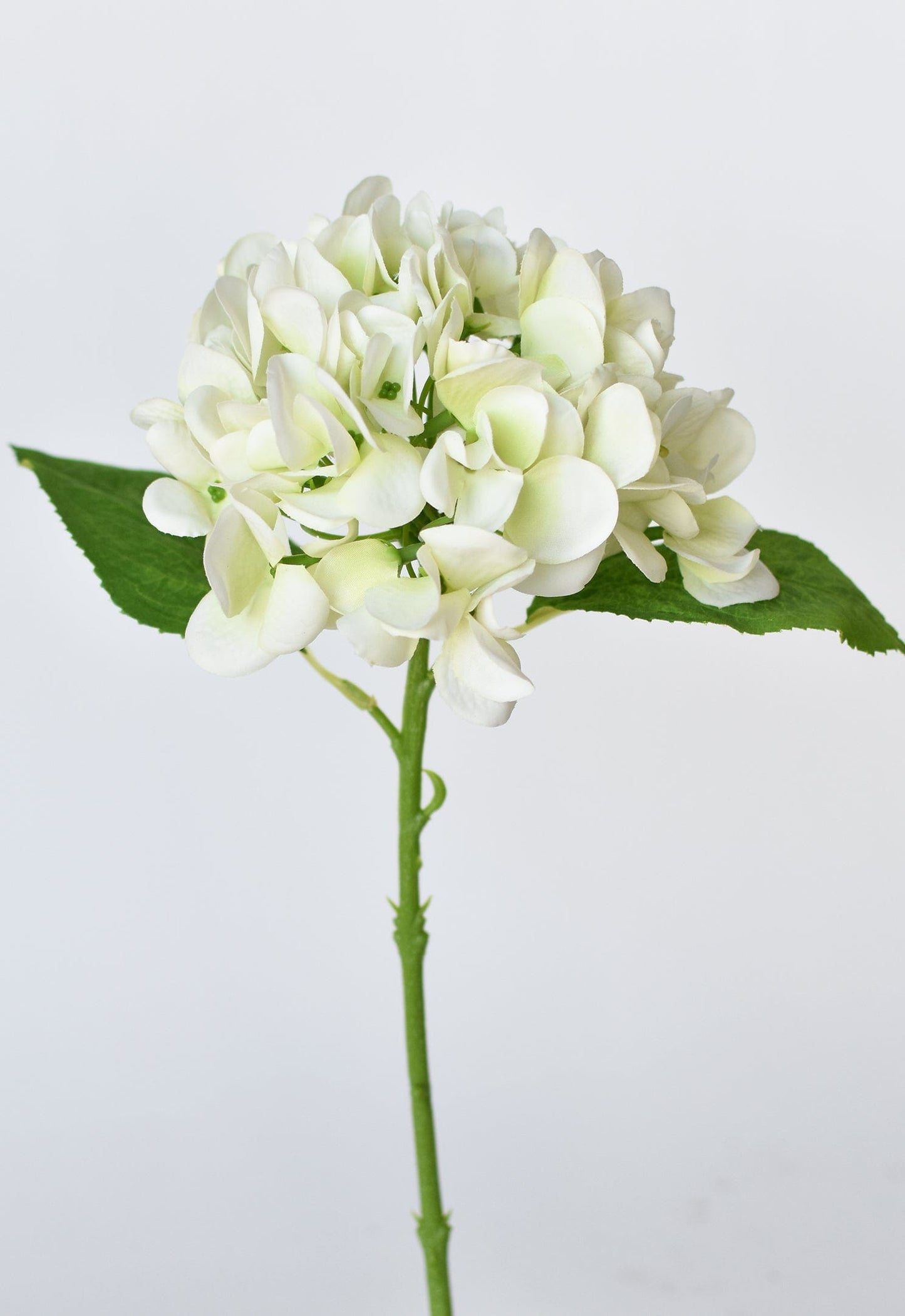 Hydrangea Stem, 13", Green & White, Real Touch