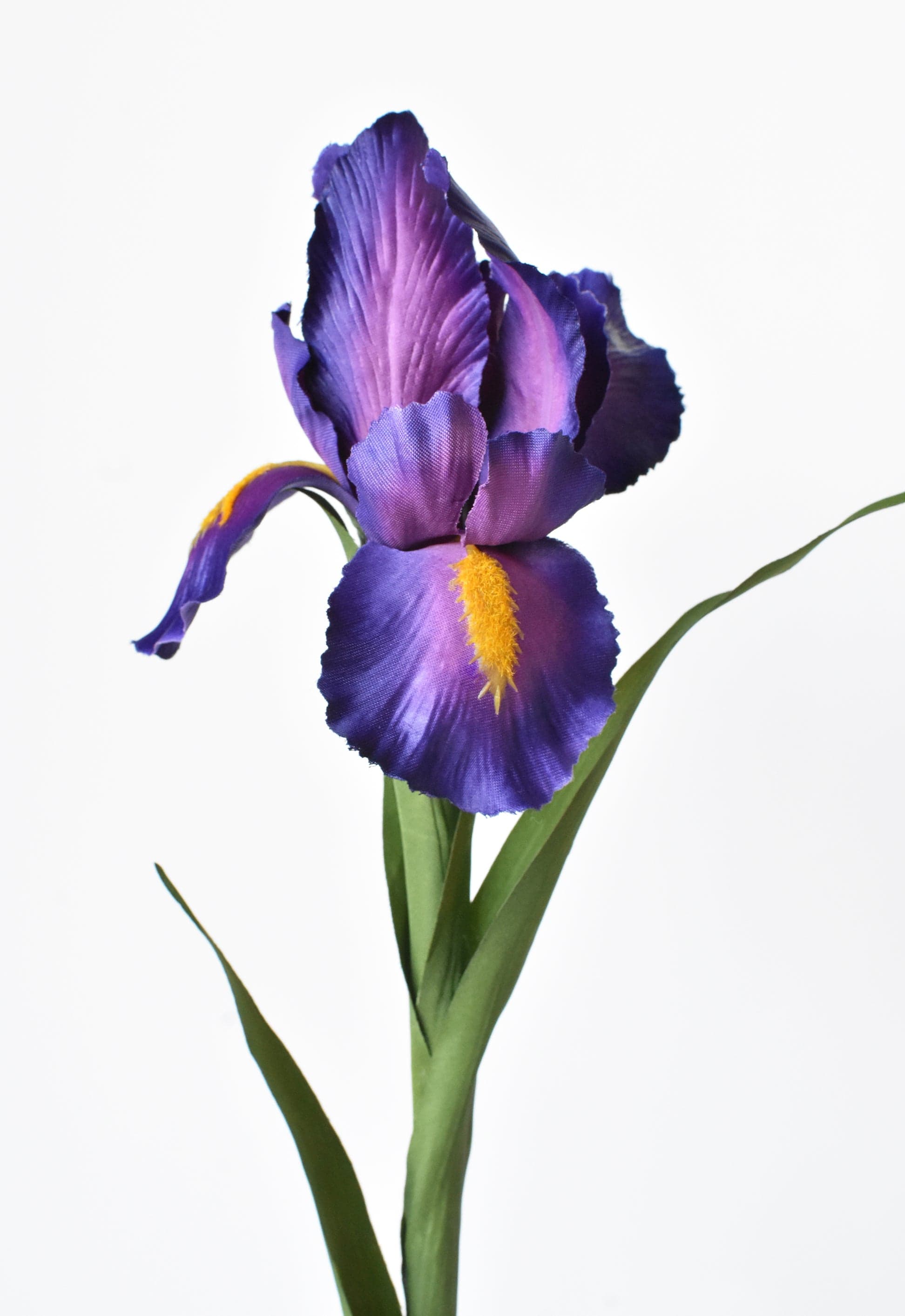 Purple Iris Stem, 28"