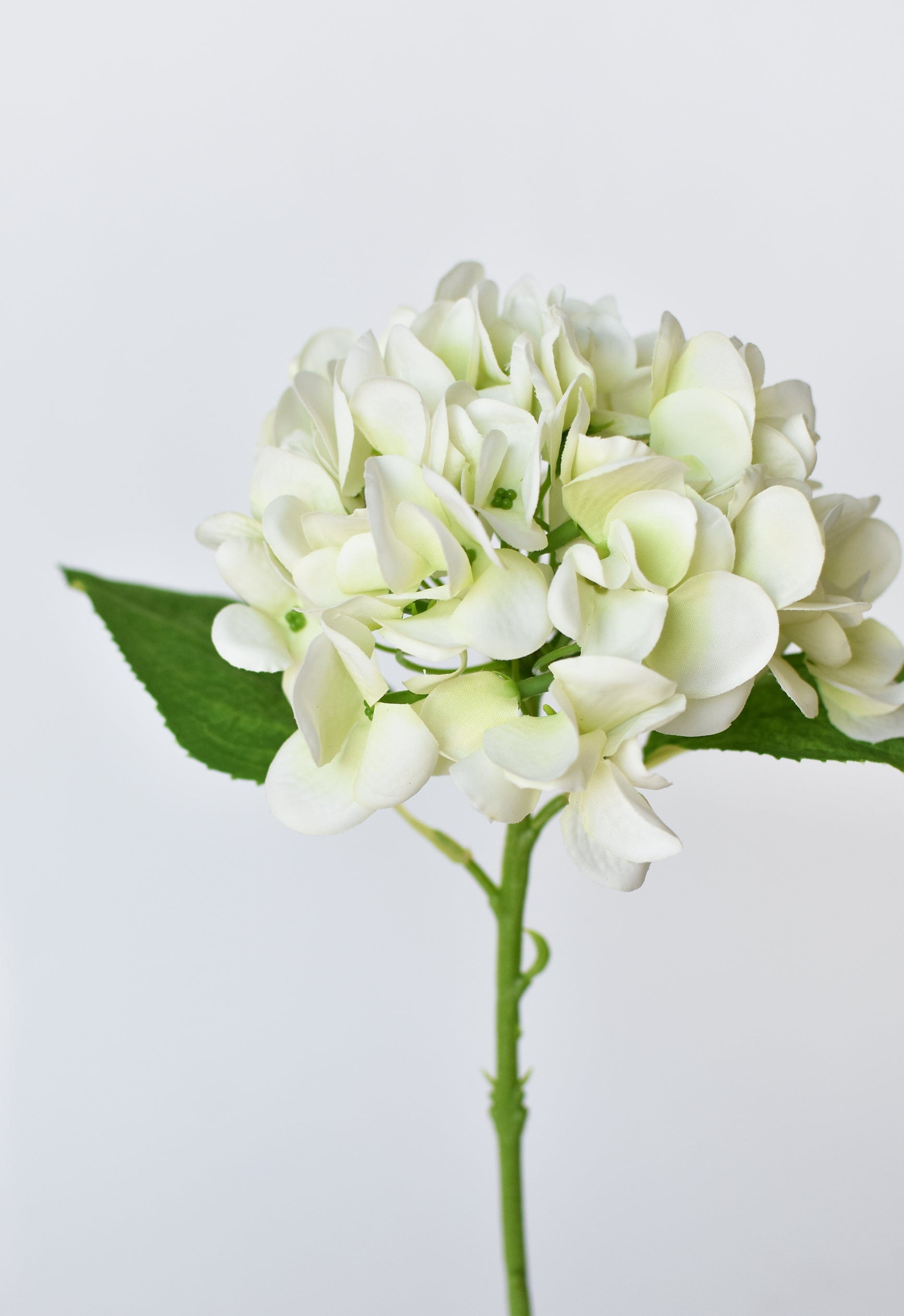 Hydrangea Stem, 13", Green & White, Real Touch