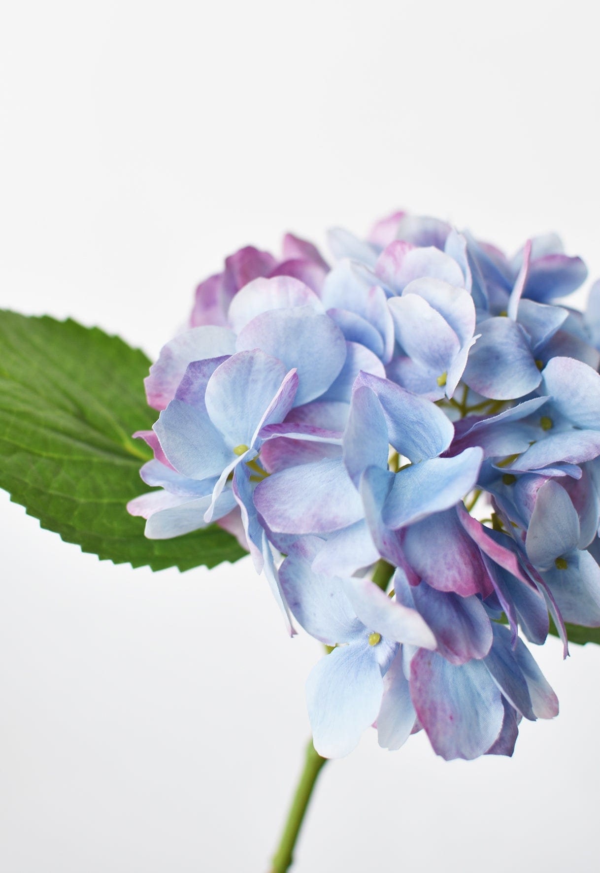 Hydrangea Stem, 10", Lavender Purple